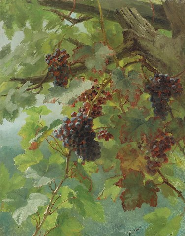 "Blue Grapes" painting in a gilded frame, the painting is with reinforced canvas.